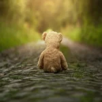 Teddy bear on dirt roadd